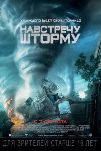   Навстречу шторму (2014)