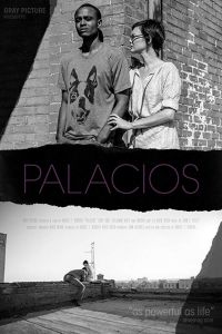   Palacios (2017)