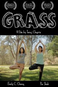   Grass (2017)