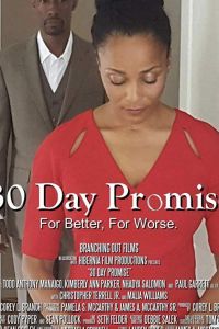   30 Day Promise (2017)